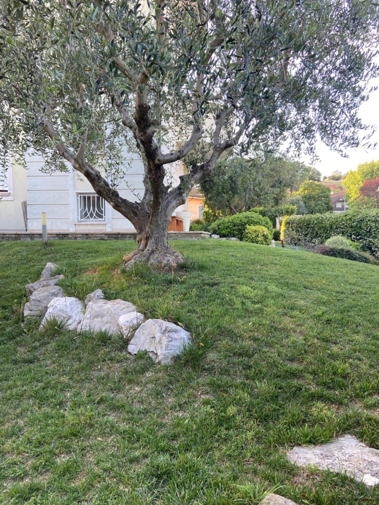 Luliwa Apartment Santarcangelo di Romagna Exterior photo